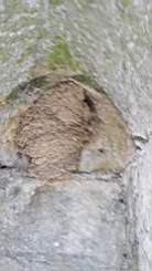 acastle 143630.jpg
